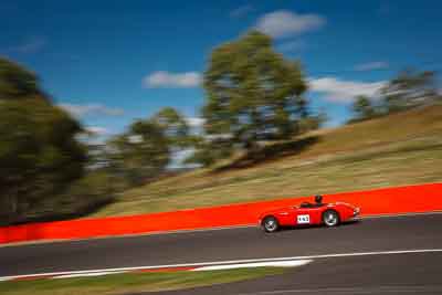 143;1955-Austin-Healey-100;4-April-2010;Australia;BN1955;Bathurst;David-Lawrence;FOSC;Festival-of-Sporting-Cars;Mt-Panorama;NSW;New-South-Wales;Regularity;auto;motion-blur;motorsport;movement;racing;sky;speed;trees;wide-angle