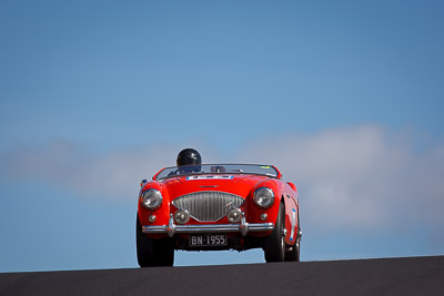 143;1955-Austin-Healey-100;4-April-2010;Australia;BN1955;Bathurst;David-Lawrence;FOSC;Festival-of-Sporting-Cars;Mt-Panorama;NSW;New-South-Wales;Regularity;auto;motorsport;racing;super-telephoto