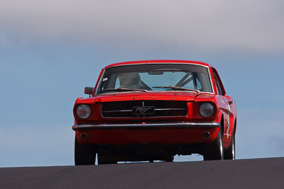 122;1964-Ford-Mustang;4-April-2010;Australia;Bathurst;Bill-Trengrove;FOSC;Festival-of-Sporting-Cars;Historic-Touring-Cars;Mt-Panorama;NSW;New-South-Wales;auto;classic;motorsport;racing;super-telephoto;vintage