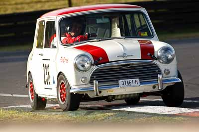 238;1964-Morris-Cooper-S;37461H;4-April-2010;Australia;Bathurst;FOSC;Festival-of-Sporting-Cars;Mt-Panorama;NSW;New-South-Wales;Regularity;Rob-Byrnes;auto;motorsport;racing;super-telephoto