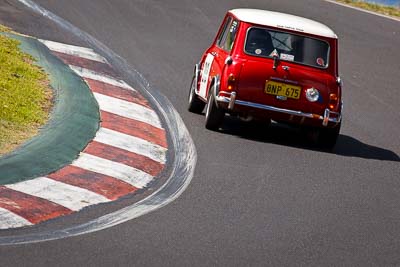 213;1964-Morris-Cooper-S;5-April-2010;8NP675;Australia;Bathurst;FOSC;Festival-of-Sporting-Cars;Mt-Panorama;NSW;New-South-Wales;Regularity;Steve-Bruce;auto;motorsport;racing;super-telephoto