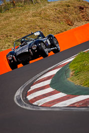 169;1997-Shelby-AC-Cobra;5-April-2010;Australia;Bathurst;FOSC;Festival-of-Sporting-Cars;Mt-Panorama;NSW;New-South-Wales;Regularity;Wayne-Proctor;auto;motorsport;racing;super-telephoto