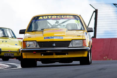 96;1983-Holden-Commodore-VH;5-April-2010;Australia;Bathurst;FOSC;Festival-of-Sporting-Cars;Mt-Panorama;NSW;New-South-Wales;Ray-Seymour;Regularity;auto;motorsport;racing;super-telephoto