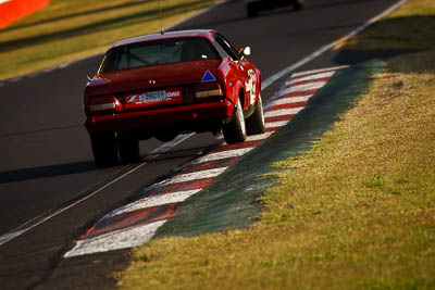 136;1981-Triumph-TR8;39823H;5-April-2010;Australia;Bathurst;FOSC;Festival-of-Sporting-Cars;Matthew-Ruggles;Mt-Panorama;NSW;New-South-Wales;Regularity;auto;motorsport;racing;super-telephoto