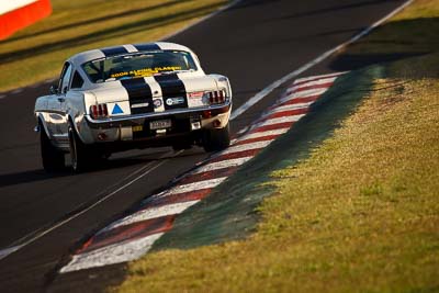 302;1966-Ford-Mustang-Fastback;30366H;5-April-2010;Australia;Bathurst;David-Livian;FOSC;Festival-of-Sporting-Cars;Mt-Panorama;NSW;New-South-Wales;Regularity;Topshot;auto;motorsport;racing;super-telephoto