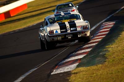 302;1966-Ford-Mustang-Fastback;30366H;5-April-2010;Australia;Bathurst;David-Livian;FOSC;Festival-of-Sporting-Cars;Mt-Panorama;NSW;New-South-Wales;Regularity;auto;motorsport;racing;super-telephoto