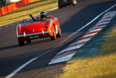 431;1955-Austin-Healey-1004;5-April-2010;Australia;BN1955;Bathurst;David-Lawrence;FOSC;Festival-of-Sporting-Cars;Mt-Panorama;NSW;New-South-Wales;Regularity;auto;motorsport;racing;super-telephoto