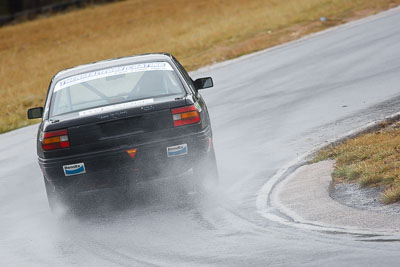 5;29-May-2010;Australia;Holden-Commodore-VN;Maria-Mare;Morgan-Park-Raceway;QLD;Queensland;Saloon-Cars;Warwick;auto;motorsport;racing;super-telephoto