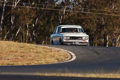 100;1971-Datsun-1600;24-July-2010;Australia;Darren-Ferguson;Morgan-Park-Raceway;QLD;Queensland;Warwick;auto;motorsport;racing;super-telephoto