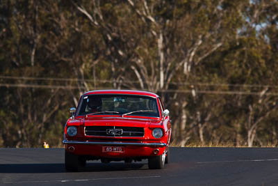 10;1965-Ford-Mustang;24-July-2010;Australia;Graeme-Wrobel;Morgan-Park-Raceway;QLD;Queensland;Warwick;auto;motorsport;racing;super-telephoto