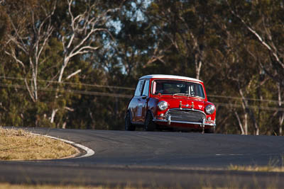17;1964-Morris-Cooper-S;24-July-2010;Australia;Gavin-Matthews;Group-N;Historic-Touring-Cars;Morgan-Park-Raceway;QLD;Queensland;Warwick;auto;classic;motorsport;racing;super-telephoto;vintage