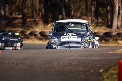 81;1967-Morris-Cooper-S;24-July-2010;Australia;Group-N;Historic-Touring-Cars;Jill-Nelson;Morgan-Park-Raceway;QLD;Queensland;Warwick;auto;classic;motorsport;racing;super-telephoto;vintage