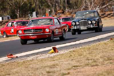 10;1965-Ford-Mustang;25-July-2010;Australia;Graeme-Wrobel;Morgan-Park-Raceway;QLD;Queensland;Warwick;auto;motorsport;racing;super-telephoto