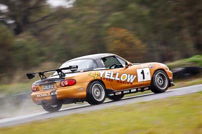 1;25-September-2010;Australia;David-Raddatz;Mazda-MX‒5;Mazda-MX5;Mazda-Miata;Morgan-Park-Raceway;QLD;Queensland;Rob-Hay;Topshot;Warwick;auto;motorsport;racing;super-telephoto