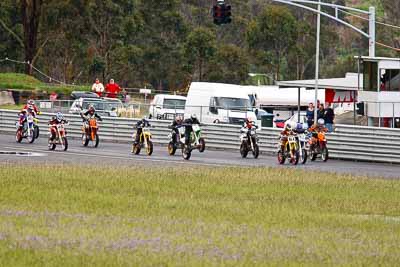 103;113;28;41;42;46;60;67;86;9;25-September-2010;Australia;Brett-Cox;Craig-Alick;Honda-CRF;Johnny-Milton;KTM-EXC-R;KTM-SMR;Kawasaki-KXF;Kym-Gross;Lloyd-Carson;Matthew-Moynihan;Michael-Ricketts;Morgan-Park-Raceway;Peter-Cox;QLD;Queensland;Steven-Relph;Suzuki-RMZ;Tom-Gardiner;Warwick;Yamaha;Yamaha-YZ;Yamaha-YZF;auto;motorbike;motorsport;racing;super-telephoto