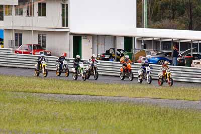 28;41;42;60;67;86;9;25-September-2010;Australia;Brett-Cox;Craig-Alick;KTM-EXC-R;KTM-SMR;Kawasaki-KXF;Kym-Gross;Michael-Ricketts;Morgan-Park-Raceway;Peter-Cox;QLD;Queensland;Steven-Relph;Suzuki-RMZ;Tom-Gardiner;Warwick;Yamaha-YZ;Yamaha-YZF;auto;motorbike;motorsport;racing;super-telephoto