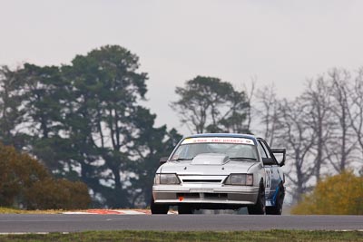 28;1984-Holden-Commodore-VK;22-April-2011;Australia;Bathurst;Bathurst-Motor-Festival;Greg-Black;Mt-Panorama;NSW;NSW-Road-Racing-Club;New-South-Wales;Regularity;auto;motorsport;racing;super-telephoto