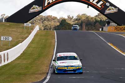 6;22-April-2011;6;Australia;Bathurst;Bathurst-Motor-Festival;Christian-DAgostin;Commodore-Cup;Holden-Commodore-VS;Matthew-Hayes;Mt-Panorama;NSW;New-South-Wales;auto;motorsport;racing