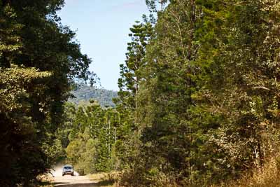 14;14;15-May-2011;APRC;Asia-Pacific-Rally-Championship;Australia;Daymon-Nicoli;Ford-Fiesta-ST;IROQ;Imbil;International-Rally-Of-Queensland;QLD;Queensland;Razvan-Vlad;Sunshine-Coast;auto;motorsport;racing;special-stage;telephoto