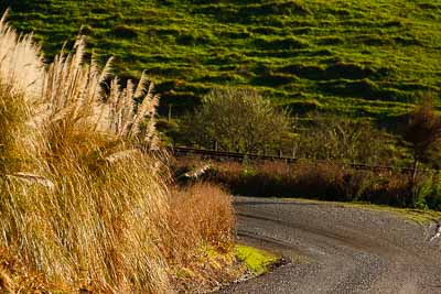 16-July-2011;APRC;Asia-Pacific-Rally-Championship;International-Rally-Of-Whangarei;NZ;New-Zealand;Northland;Rally;Whangarei;auto;garage;landscape;motorsport;nature;racing;road;scenery;super-telephoto