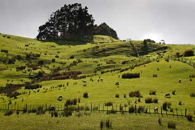 17-July-2011;APRC;Asia-Pacific-Rally-Championship;International-Rally-Of-Whangarei;NZ;New-Zealand;Northland;Rally;Whangarei;auto;garage;landscape;motorsport;nature;racing;scenery;telephoto