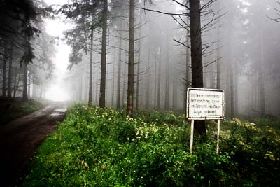 29-July-2011;Deutschland;Germany;Green-Hell;Grüne-Hölle;Nordschleife;Nuerburg;Nuerburgring;Nurburg;Nurburgring;Nürburg;Nürburgring;Rhineland‒Palatinate;atmosphere;auto;fog;forest;landscape;mood;motorsport;path;racing;scenery;trees;wide-angle