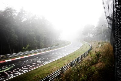 29-July-2011;Deutschland;Germany;Green-Hell;Grüne-Hölle;Nordschleife;Nuerburg;Nuerburgring;Nurburg;Nurburgring;Nürburg;Nürburgring;Rhineland‒Palatinate;Wippermann;atmosphere;auto;barrier;circuit;fog;landscape;mood;motorsport;racing;scenery;track;trees;wide-angle