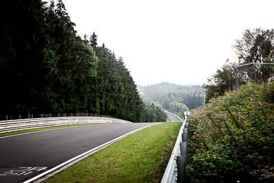 29-July-2011;Deutschland;Germany;Green-Hell;Grüne-Hölle;Nordschleife;Nuerburg;Nuerburgring;Nurburg;Nurburgring;Nürburg;Nürburgring;Rhineland‒Palatinate;atmosphere;auto;barrier;circuit;fog;landscape;mood;motorsport;racing;scenery;track;trees;wide-angle