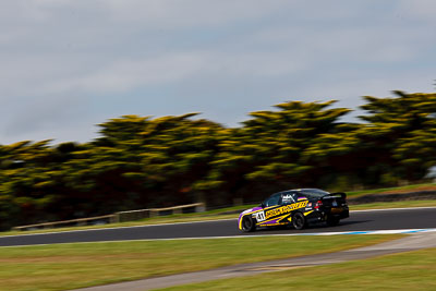 41;27-November-2011;Ashley-Seisun;Australia;Holden-Commodore-VY;Improved-Production;Island-Magic;Melbourne;PIARC;Phillip-Island;VIC;Victoria;auto;motion-blur;motorsport;racing;speed;telephoto