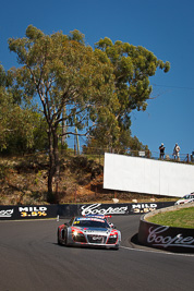 81;8-February-2013;81;Audi-R8-LMS-Ultra;Australia;Bathurst;Bathurst-12-Hour;Christian-Zügel;Dragonspeed;Elton-Julian;Eric-Lux;Grand-Tourer;Mt-Panorama;NSW;New-South-Wales;The-Dipper;auto;endurance;motorsport;racing;telephoto;trees