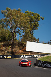 62;62;8-February-2013;Australia;Bathurst;Bathurst-12-Hour;Grand-Tourer;Laim-Talbot;Lotus-Exige-S;Mt-Panorama;NSW;New-South-Wales;Robert-Thomson;Romano-Sartori;The-Dipper;auto;endurance;motorsport;racing;telephoto;trees