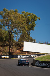 73;73;8-February-2013;Australia;Bathurst;Bathurst-12-Hour;Ginetta-G50-G4;Grand-Tourer;Michael-Hovey;Mt-Panorama;NSW;New-South-Wales;The-Dipper;auto;endurance;motorsport;racing;telephoto;trees