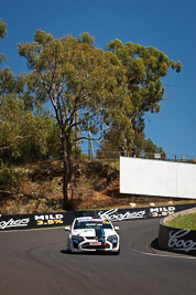 22;22;8-February-2013;Australia;Bathurst;Bathurst-12-Hour;Brad-Goss;Ford-FG‒FPV-GT;Grand-Tourer;Mt-Panorama;NSW;New-South-Wales;Robinson-Racing-Developments;Steve-Cramp;The-Dipper;Vin-Stenta;auto;endurance;motorsport;racing;telephoto;trees