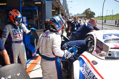 16;16;28mm;9-February-2013;Australia;BMW-Z4-GT3;Bathurst;Bathurst-12-Hour;Grand-Tourer;LIQUI-MOLY-Team-Engstler;Mt-Panorama;NSW;New-South-Wales;atmosphere;auto;endurance;motorsport;paddock;pitlane;racing