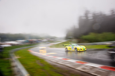 50;17-May-2013;24-Hour;Deutschland;Germany;Hatzenbach;Jörg-Bergmeister;Manthey-Racing;Marco-Holzer;Nick-Tandy;Nordschleife;Nuerburg;Nuerburgring;Nurburg;Nurburgring;Nürburg;Nürburgring;Porsche-911-GT3-R;Rhineland‒Palatinate;Richard-Lietz;auto;motorsport;racing;telephoto;wide-angle