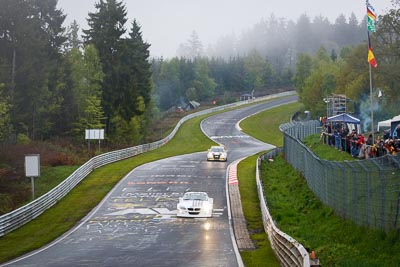 89;17-May-2013;24-Hour;Andreas-Weishaupt;BMW-Z4-Coupé;Deutschland;Dörr-Motorsport-GmbH;Frank-Weishar;Germany;Nordschleife;Nuerburg;Nuerburgring;Nurburg;Nurburgring;Nürburg;Nürburgring;Pflanzgarten;Rhineland‒Palatinate;Robert-Thomson;Stefan-Aust;auto;fog;motorsport;racing;telephoto