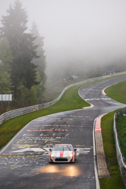 214;17-May-2013;24-Hour;Christoph-Wüest;Deutschland;Germany;Mark-Benz;Nordschleife;Nuerburg;Nuerburgring;Nurburg;Nurburgring;Nürburg;Nürburgring;Pflanzgarten;Rhineland‒Palatinate;Roger-Vögeli;Toyota-GT-86;Toyota-Swiss-Racing-Team;Werner-Schmid;auto;fog;motorsport;racing;telephoto