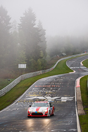 213;17-May-2013;24-Hour;Andreas-Lanz;Deutschland;Germany;Lorenz-Frey;Nordschleife;Nuerburg;Nuerburgring;Nurburg;Nurburgring;Nürburg;Nürburgring;Peter-Wyss;Pflanzgarten;Rhineland‒Palatinate;Toni-Büeler;Toyota-GT-86;Toyota-Swiss-Racing-Team;auto;fog;motorsport;racing;telephoto