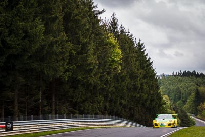 50;18-May-2013;24-Hour;Deutschland;Flugplatz;Germany;Jörg-Bergmeister;Manthey-Racing;Marco-Holzer;Nick-Tandy;Nordschleife;Nuerburg;Nuerburgring;Nurburg;Nurburgring;Nürburg;Nürburgring;Porsche-911-GT3-R;Rhineland‒Palatinate;Richard-Lietz;auto;motorsport;racing;telephoto