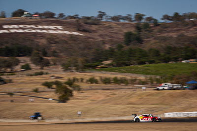 3;3;7-February-2014;Audi-R8-LMS-Ultra;Australia;Bathurst;Bathurst-12-Hour;Laurens-Vanthoor;NSW;New-South-Wales;Phoenix-Racing;Rahel-Frey;Rene-Rast;René-Rast;auto;endurance;landscape;motorsport;racing;telephoto