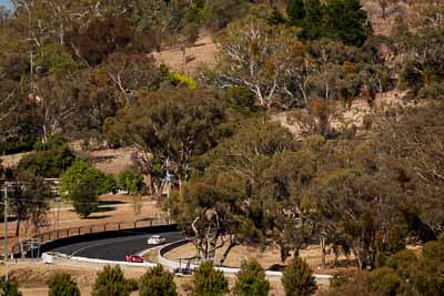 51;51;7-February-2014;Andrew-MacPherson;Australia;Bathurst;Bathurst-12-Hour;Ben-Porter;Garth-Walden;IMAKKWIKMIT;NSW;New-South-Wales;Porsche-911-GT3-Cup-S;auto;endurance;motorsport;racing;super-telephoto