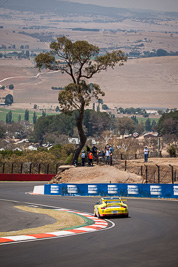 6;6;7-February-2014;Australia;Bathurst;Bathurst-12-Hour;Garth-Duffy;Michael-Hector;NSW;New-South-Wales;Porsche-997-GT3-Cup;Richard-Gartner;SAFE‒T‒STOP;Stewart-Kostera;auto;endurance;motorsport;racing;telephoto
