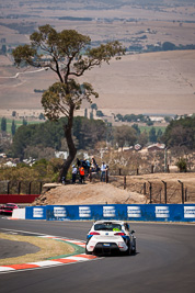 66;7-February-2014;Australia;Bathurst;Bathurst-12-Hour;Danny-Stutterd;Guy-Stewart;Michael-Driver;Motorsport-Services;NSW;New-South-Wales;Seat-Leon-Supercopa;auto;endurance;motorsport;racing;telephoto