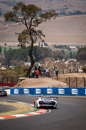 3;3;7-February-2014;Audi-R8-LMS-Ultra;Australia;Bathurst;Bathurst-12-Hour;Laurens-Vanthoor;NSW;New-South-Wales;Phoenix-Racing;Rahel-Frey;Rene-Rast;René-Rast;auto;endurance;motorsport;racing;telephoto