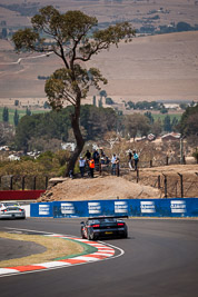 23;23;7-February-2014;Australia;Bathurst;Bathurst-12-Hour;David-Russell;JBS-Swift;Lamborghini-Gallardo-LP560‒4;NSW;New-South-Wales;Peter-Kox;Roger-Lago;auto;endurance;motorsport;racing;telephoto