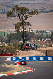 45;45;7-February-2014;Australia;Barton-Mawer;Bathurst;Bathurst-12-Hour;Duvashen-Padayachee;NSW;New-South-Wales;Porsche-997-GT3-Cup;Rencorp-Hyundai-Forklifts;Richard-Muscat;auto;endurance;motorsport;racing;telephoto