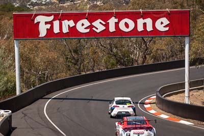 66;7-February-2014;Australia;Bathurst;Bathurst-12-Hour;Danny-Stutterd;Guy-Stewart;Michael-Driver;Motorsport-Services;NSW;New-South-Wales;Seat-Leon-Supercopa;auto;endurance;motorsport;racing;telephoto