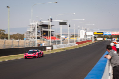 54;54;7-February-2014;Australia;Bathurst;Bathurst-12-Hour;Donut-King;Lotus-Exige-Cup-R;Mark-OConnor;NSW;New-South-Wales;Peter-Leemhuis;Tony-Alford;auto;endurance;motorsport;racing;telephoto