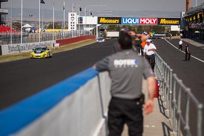 6;6;7-February-2014;Australia;Bathurst;Bathurst-12-Hour;Garth-Duffy;Michael-Hector;NSW;New-South-Wales;Porsche-997-GT3-Cup;Richard-Gartner;SAFE‒T‒STOP;Stewart-Kostera;auto;endurance;motorsport;racing;telephoto