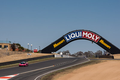 54;54;8-February-2014;Australia;Bathurst;Bathurst-12-Hour;Donut-King;Lotus-Exige-Cup-R;Mark-OConnor;NSW;New-South-Wales;Peter-Leemhuis;Tony-Alford;auto;endurance;motorsport;racing;sky;telephoto